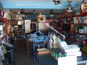 adentro_1245865551.jpg