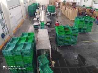 traspaso-de-productora-2_1750363740.jpg