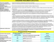 cuadro_resumen_ejecutivo_proyecto_1310684170.jpg