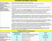 cuadro_resumen_ejecutivo_proyectogif_1310684170.gif