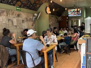 Nikola Comedor
