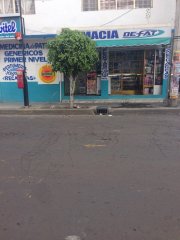 Traspaso farmacia de patente, genéricos y perfumería 