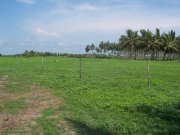 terreno para proyecto en novillero nayarit
