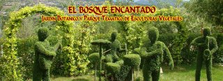 Se Vende El Bosque Encantado