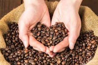 Traspaso de Franquicia de Café Punta del Cielo en Operación.