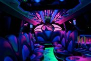 party_bus_1487029953.jpg