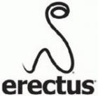 Erectus