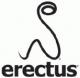 Erectus