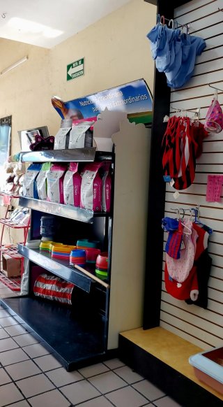 kamila-s-veterinaria-3_1723512744.jpg