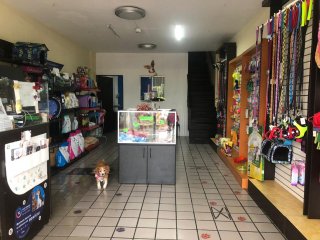 Kamila's Veterinaria