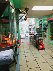 Traspaso tienda de mascotas acuario estética canina