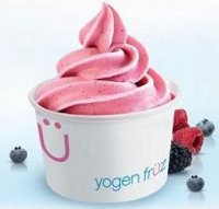 yogenfruz2_1242119505.jpg