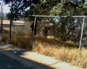 fotos_fer_226_1365503026.jpg