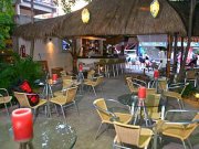 palapa_bar_1224347136.jpg