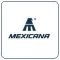 mexicanalogo2_1241779777.jpg