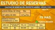 Mina de Au 6.9gr/ton ley.