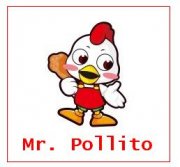 tu franquicia mr. pollito