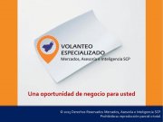 Agencia de Mercadotecnia: Volanteo Especializado